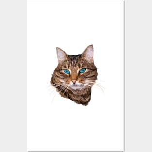 cat Posters and Art